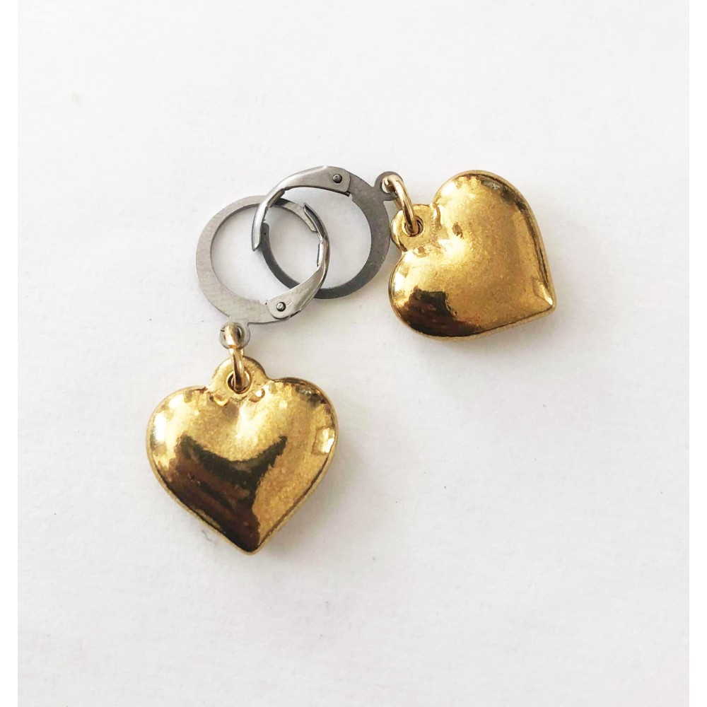Hjerte øreringe i stål/guld